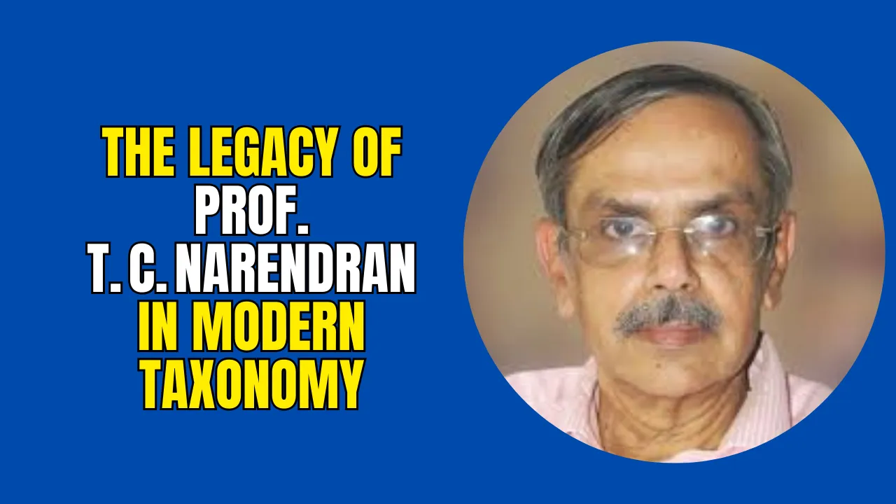 The Legacy of Prof. T. C. Narendran in Modern Taxonomy